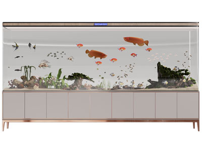 现代带收纳柜的鱼缸水族