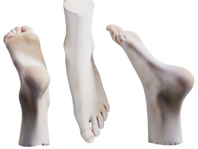 现代人类的脚 足3d模型 现代人类的脚 足