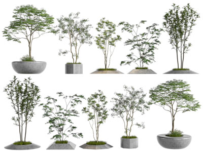 现代景观树木 造椅子