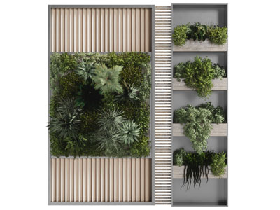 现代植物墙 背景墙