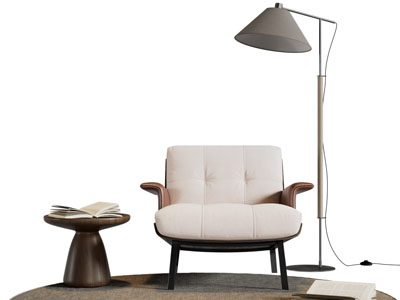 现代休闲椅子 边几 落地灯