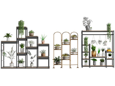 现代花架 盆栽植物