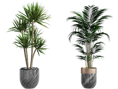 现代大理石花盆盆栽植物