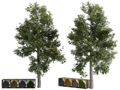 现代景观树木 公共长凳子