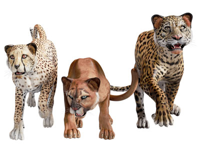 现代美洲豹 爬行动物