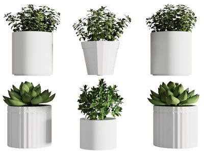 现代花盆盆景盆栽