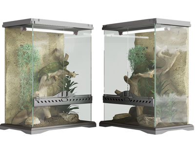 现代水陆缸 宠物蜥蜴