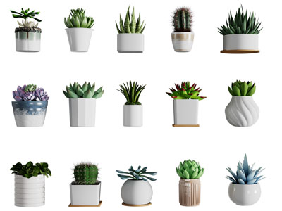现代多肉植物盆景盆栽植物摆件组合