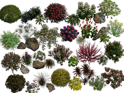 现代景观灌木丛 花草花卉植物 园艺小品