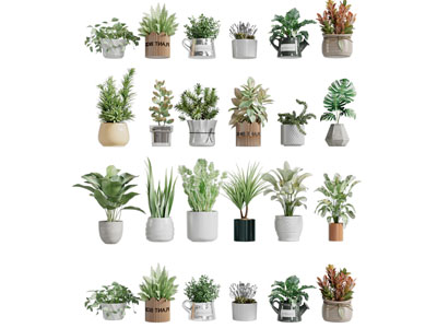 现代盆景盆栽植物摆件组合