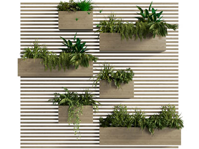 现代盆景盆栽植物墙