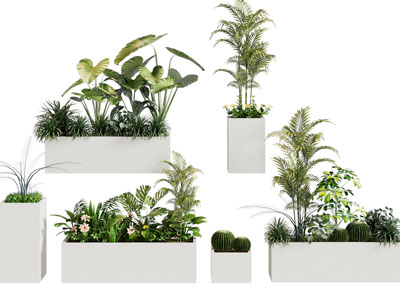 现代花箱花卉盆栽植物