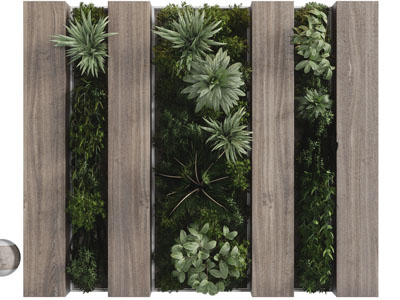 现代实木植物墙 造墙