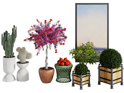 现代花盆盆栽植物