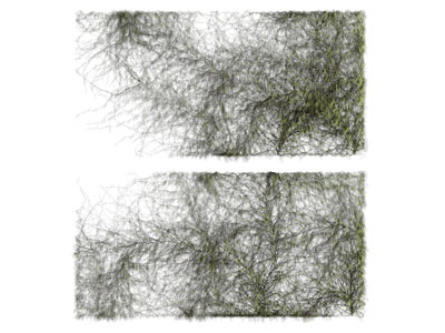 现代藤蔓植物 植物墙