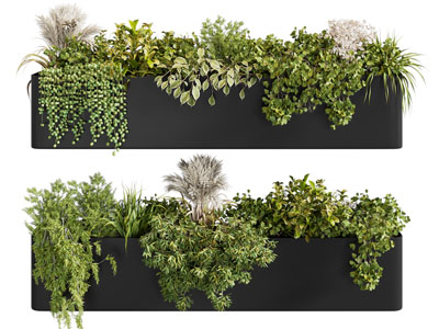 现代花箱花草花卉植物盆景盆栽