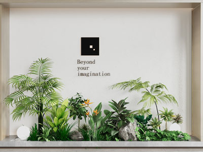 现代室内植物花草景观园艺小品