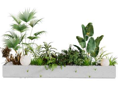 现代花坛花草植物盆景盆栽植物