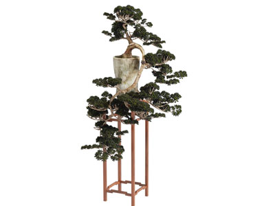 新中式松树盆景盆栽植物 摆件组合