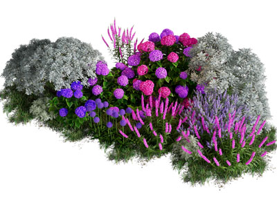 现代花草花卉植物