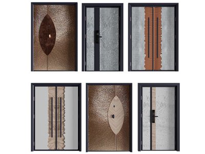 现代子母入户平开门 双开门 大门