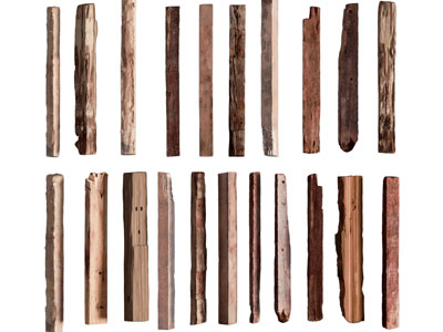 现代实木木段 木头 木材