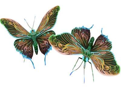 现代蝴蝶 金凤蝶 昆虫3d模型 现代蝴蝶 金凤蝶 昆虫