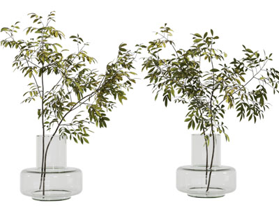 现代玻璃花瓶花卉