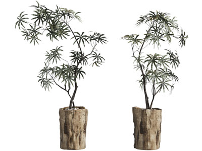 现代实木花盆盆栽植物