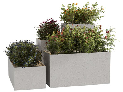 现代花坛花草花卉盆栽植物