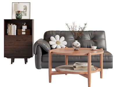 现代中古风双人沙发 边柜 茶几组合