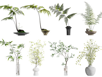 现代花瓶花卉 盆景盆栽