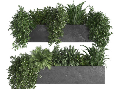 现代花坛花草植物盆景盆栽