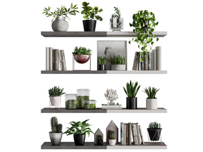 现代书本 盆栽摆件组合