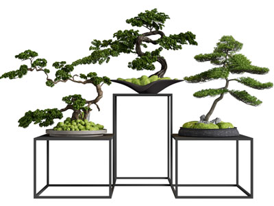 新中式松树盆景盆栽 摆件组合