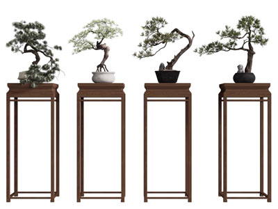 新中式松树盆景盆栽