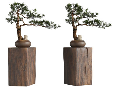 新中式松树盆景盆栽植物摆件