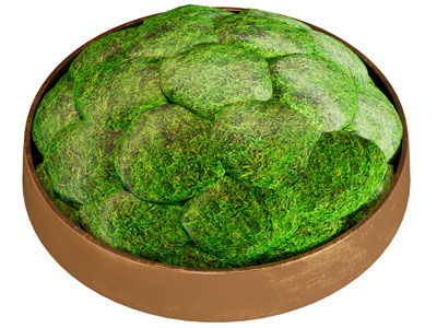 现代苔藓盆景盆栽植物