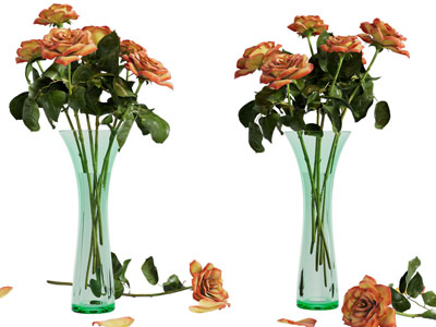 现代玻璃花瓶花卉