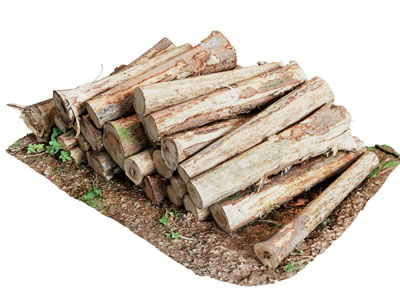 现代实木木材 木桩