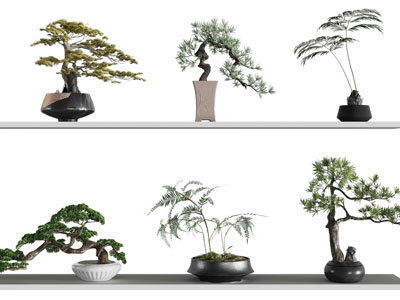 新中式花盆松树盆景盆栽 摆件组合