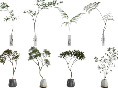 现代花瓶花卉 摆件组合