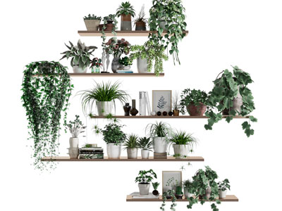 现代墙面木板盆栽植物摆件组合 植物墙