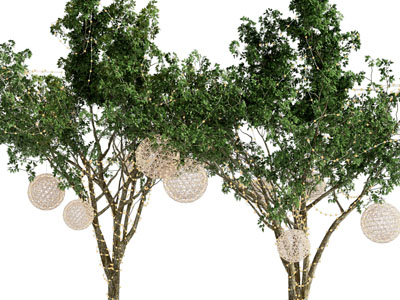 现代装饰灯带的景观树木