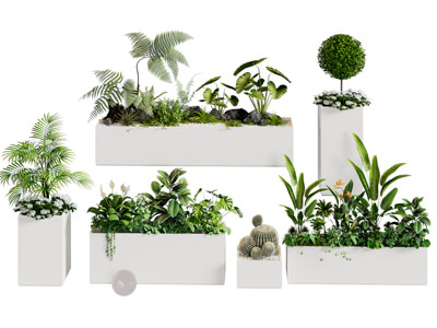 现代长方形 方形花池盆栽植物