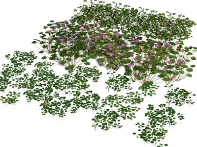 现代花草花卉植物