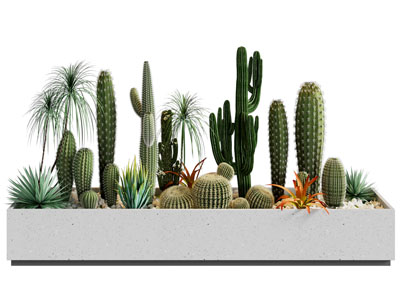 现代花池多肉植物盆景盆栽