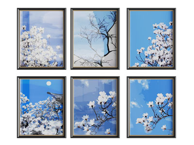现代花卉装饰挂画3d模型 现代花卉装饰挂画