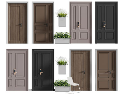 现代子母入户门 平开门