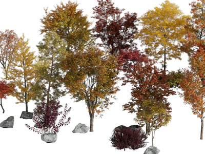 现代秋天长满黄色树叶的树木